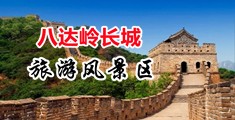 女生尿尿网站久久中国北京-八达岭长城旅游风景区